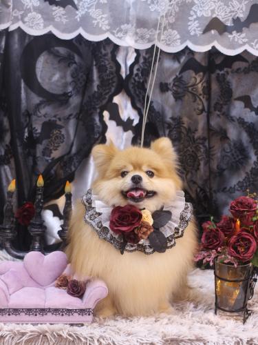 20231020梛都ちゃん